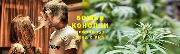 прущие грибы Елабуга